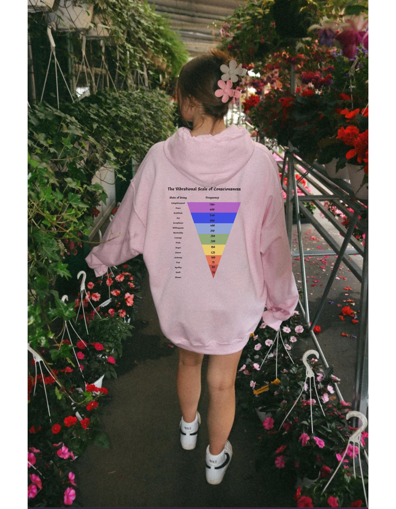Vibrational Scale of Consciousness Hoodie