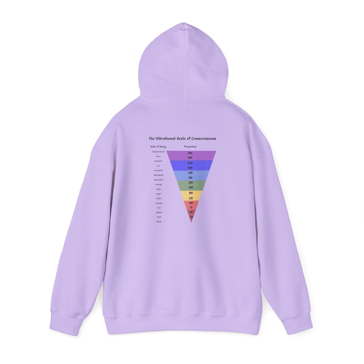 Vibrational Scale of Consciousness Hoodie