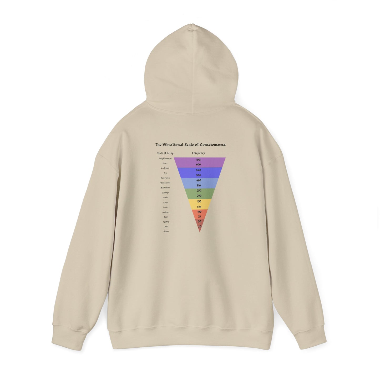 Vibrational Scale of Consciousness Hoodie
