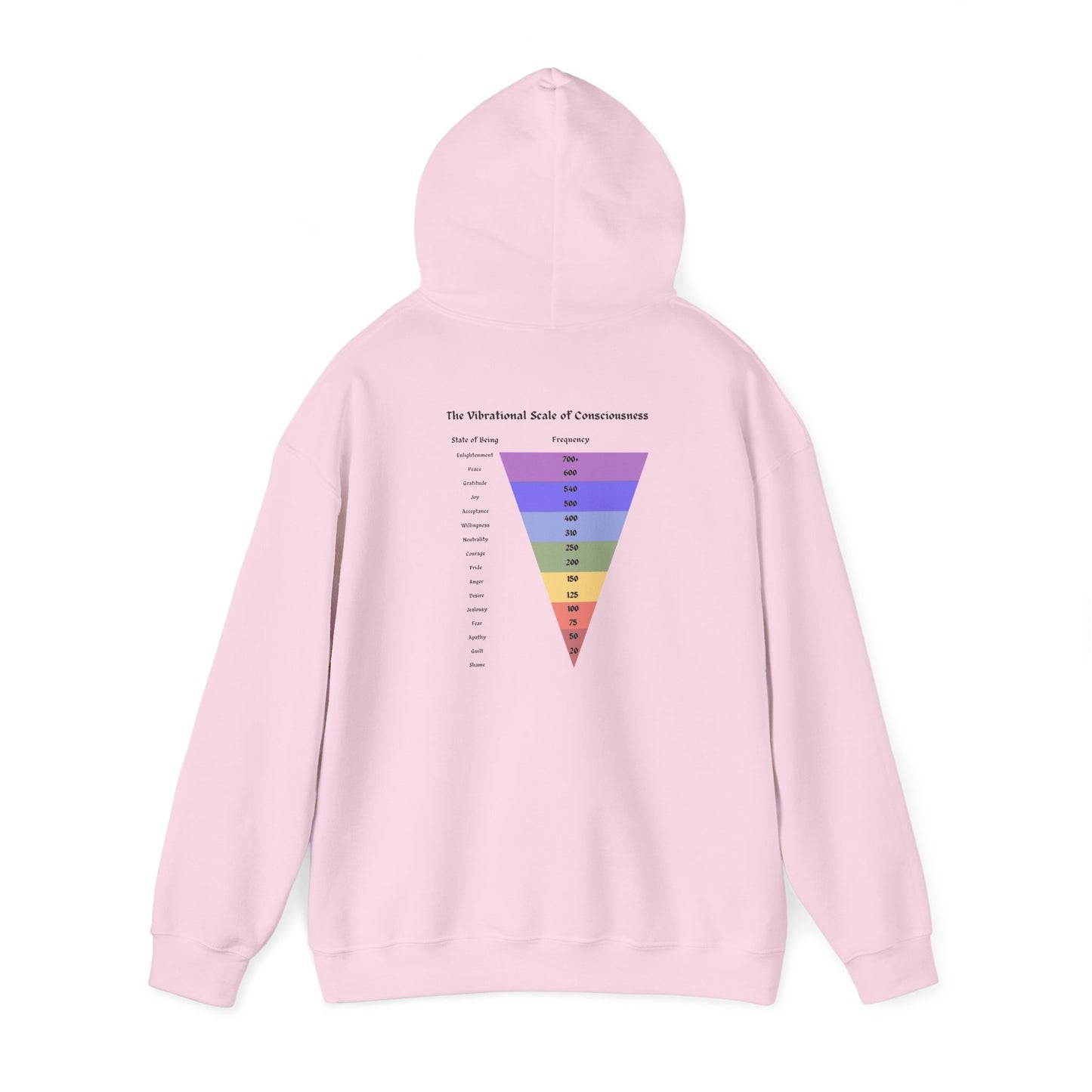 Vibrational Scale of Consciousness Hoodie