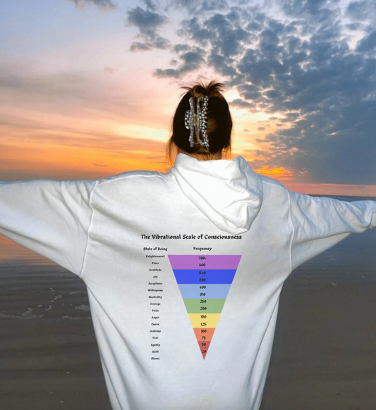 Vibrational Scale of Consciousness Hoodie